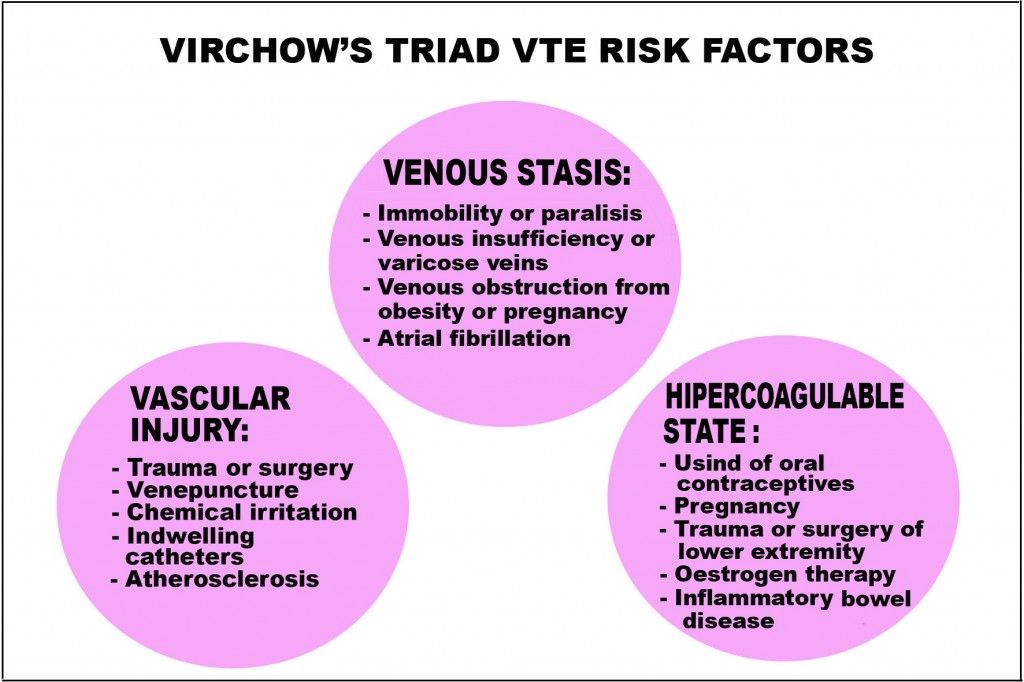 vte TRIAD_NNC_E1