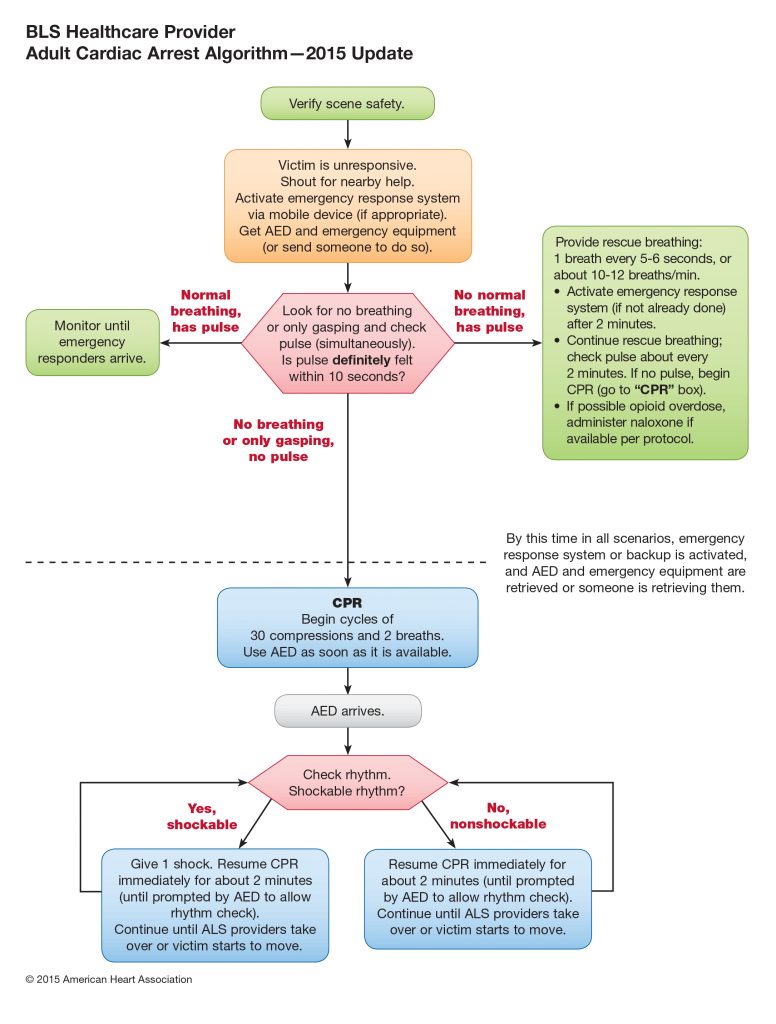 cpr 2 BLS-Adult-Cardiac-Arrest-Algorithm---2015-Update