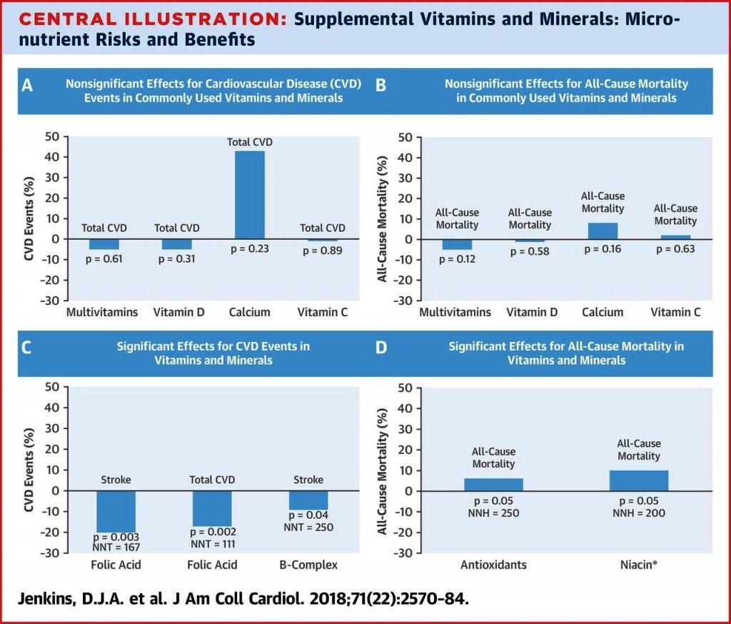 vit F1.large (10)