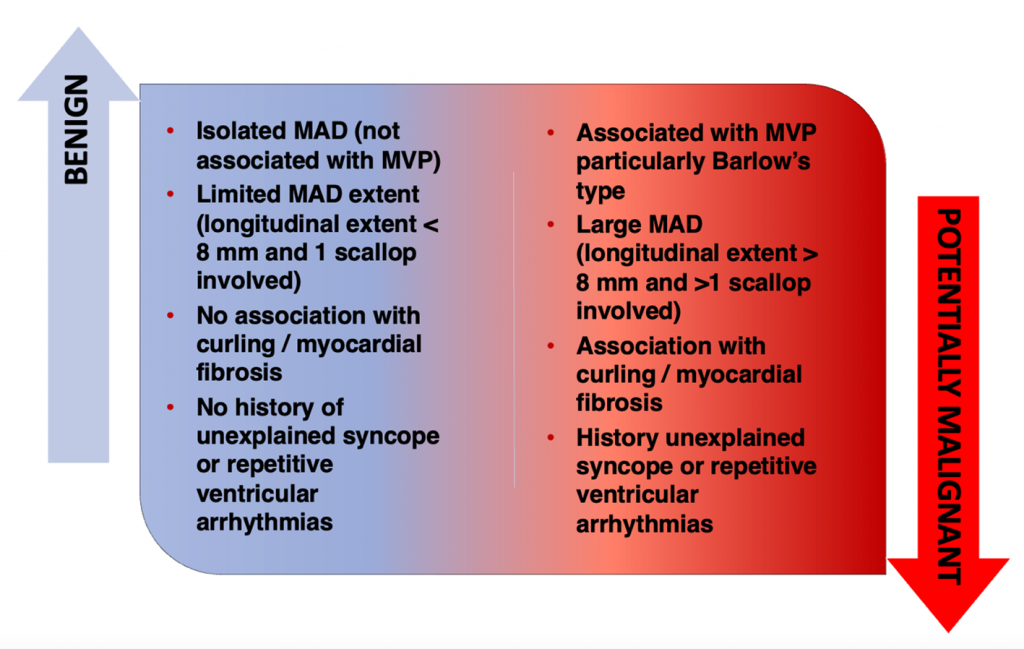 MAD IMAG-EA-Figliozzi_Figure1